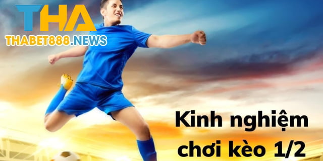 Cách soi kèo 1 2 được nhưng cược thủ chuyên nghiệp chia sẻ