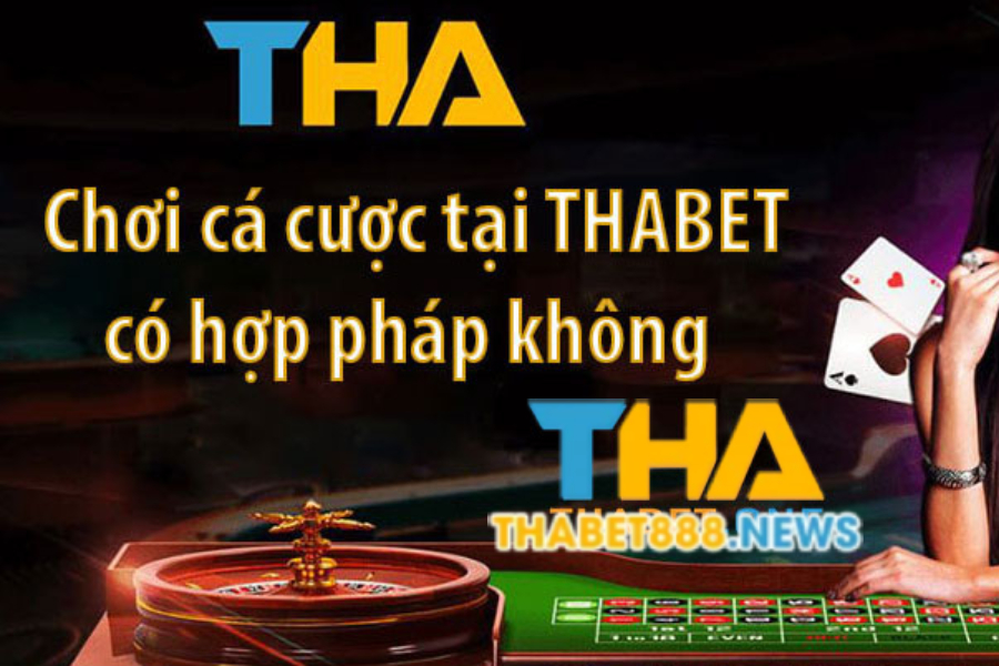 Thabet có lừa đảo không?