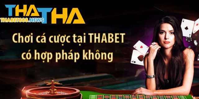 Nhà cái sẽ làm gì trước những thông tin tiêu cực Thabet77 lừa đảo?