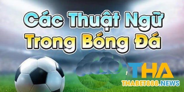 Thuật ngữ theo tỷ lệ kèo châu Á - Thuật ngữ cá độ đá banh