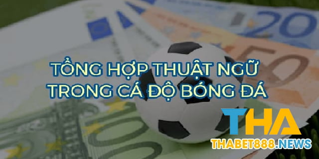 Thuật ngữ cá độ ở kèo châu Âu